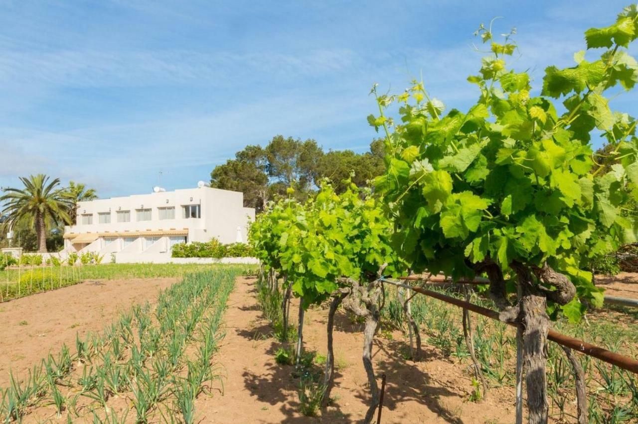 Apartamentos Marcelino - Formentera Break Es Pujols Exterior photo